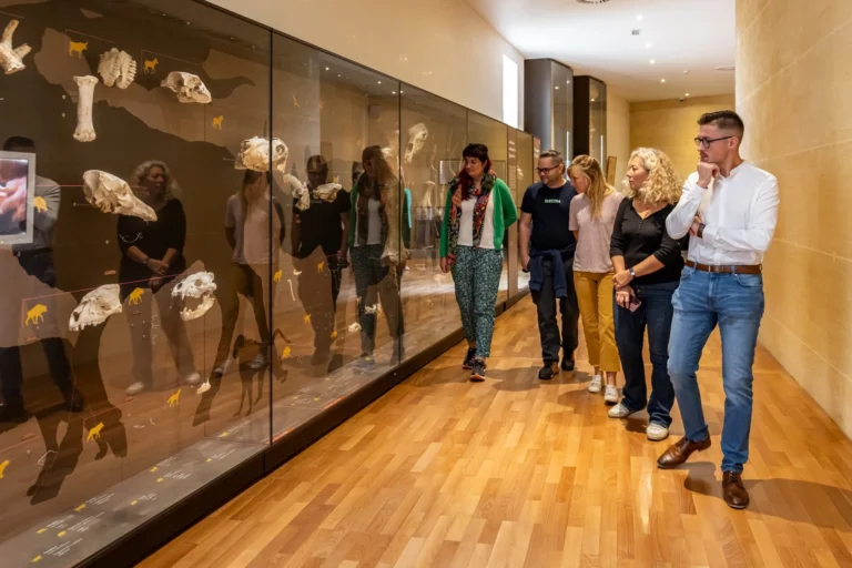 13765 musee national de la prehistoire © déclic & décolle