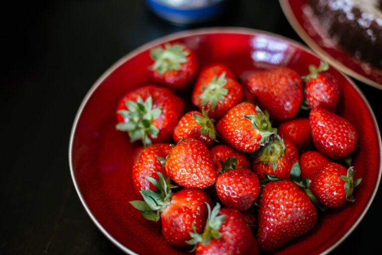 La gastronomie périgourdine : produits, saveurs et traditions Une invitation à table au cœur du Périgord Noir 658 assiette de fraises aux deux abbesses en vert ©les conteurs