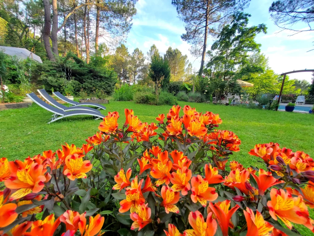 jardin fleurit hotel relais cote jor st léon vezere (3)