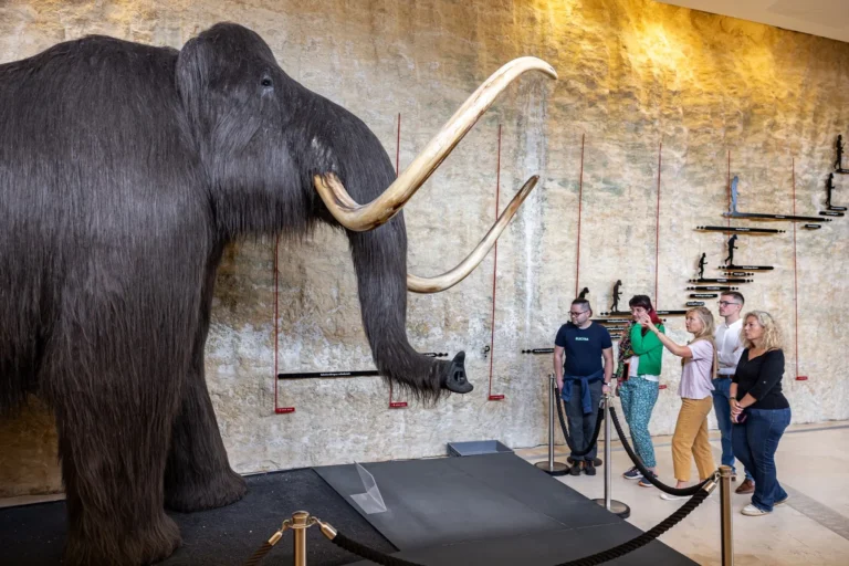 13760 musee national de la prehistoire © déclic & décolle