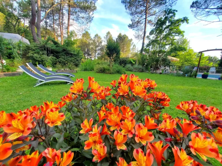 jardin fleurit hotel relais cote jor st léon vezere (3)
