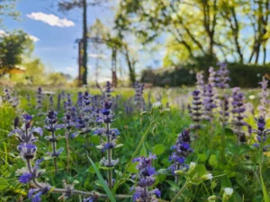 Nature, sport et grand air en Périgord Noir