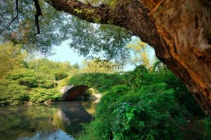 Dordogne insolite : 5 pépites secrètes à découvrir depuis votre séjour à Saint-Léon-sur-Vézère