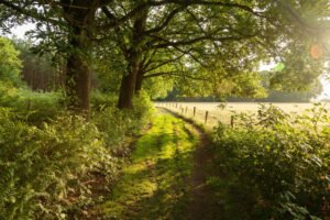 L&rsquo;arrière-saison en vallée Vézère : la meilleure période pour visiter la Dordogne au calme